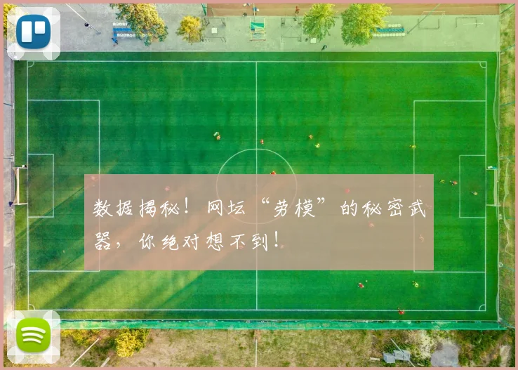 数据揭秘！网坛“劳模”的秘密武器，你绝对想不到！